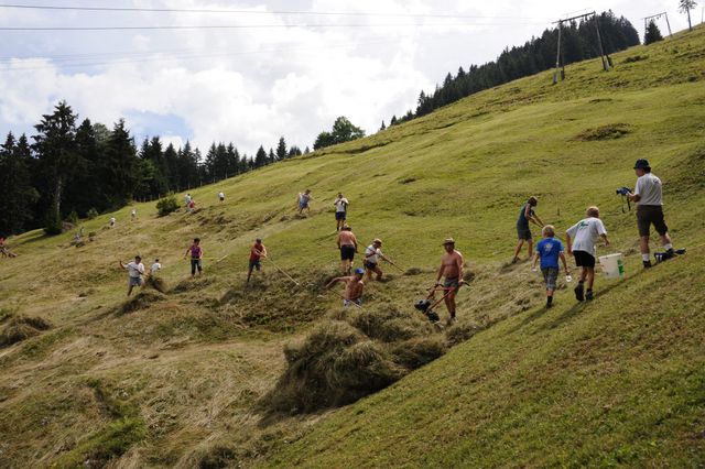 Datei:DSC 0996 Nikolaus Walter.jpg