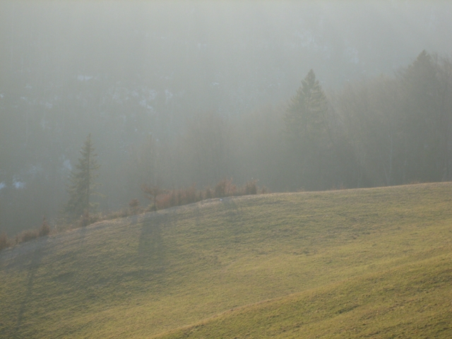 Datei:Hintergrundbild Bergwiese Gegenlicht.jpg