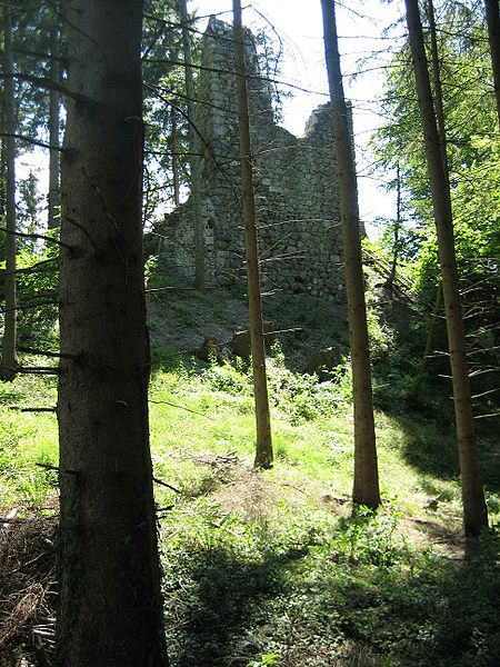 Datei:Ruine schwarzenhorn.jpg